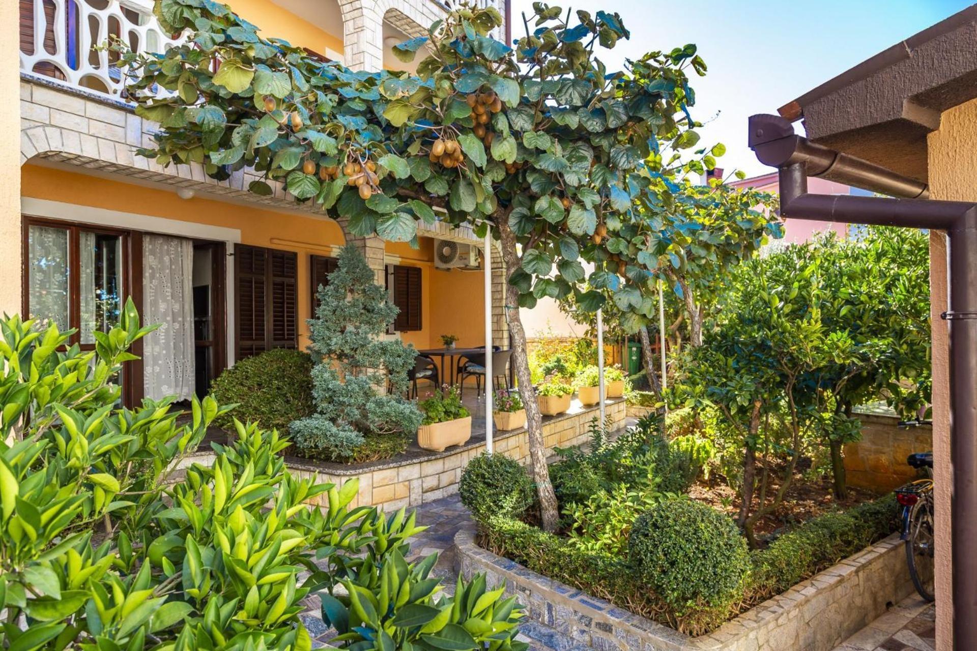 Apartments Mir Fažana Exterior foto
